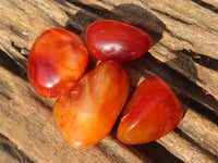 Polished  Carnelian Agate Tumble Stones  x 1 Kg Lot From Madagascar