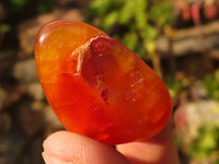 Polished  Carnelian Agate Tumble Stones  x 1 Kg Lot From Madagascar