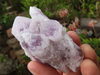 Natural Sugar Amethyst Clusters  x 12 From Solwezi, Zambia - Toprock Gemstones and Minerals 