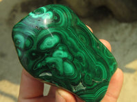 Polished Malachite Free Forms x 3 From Kolwezi, Congo