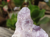 Natural Sugar Amethyst Clusters  x 12 From Solwezi, Zambia - Toprock Gemstones and Minerals 