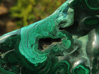 Polished Malachite Free Forms x 3 From Kolwezi, Congo