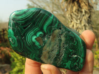 Polished Malachite Free Forms x 3 From Kolwezi, Congo