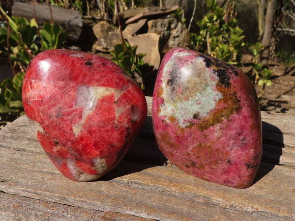 Polished Rare Red Rhodonite Standing Free Forms x 2 From Zimbabwe