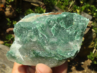 Natural Cobbed Green Jade Specimens  x 12 From Swaziland - Toprock Gemstones and Minerals 