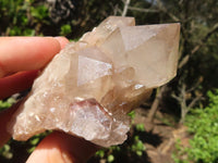 Natural Cascading White Phantom Smokey Quartz Clusters  x 6 From Luena, Congo - Toprock Gemstones and Minerals 