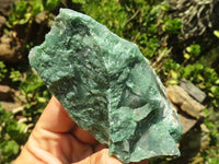 Natural Cobbed Green Jade Specimens  x 12 From Swaziland - Toprock Gemstones and Minerals 