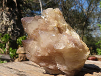 Natural Cascading White Phantom Smokey Quartz Clusters  x 6 From Luena, Congo - Toprock Gemstones and Minerals 