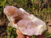 Natural Spirit Cactus Flower Quartz Specimens x 4 From Boekenhouthoek, South Africa