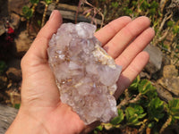 Natural Spirit Cactus Flower Quartz Specimens x 4 From Boekenhouthoek, South Africa