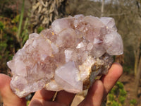 Natural Spirit Cactus Flower Quartz Specimens x 4 From Boekenhouthoek, South Africa