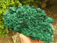 Natural Chatoyant Silky Malachite Specimens  x 2 From Congo - Toprock Gemstones and Minerals 