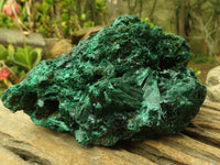 Natural Chatoyant Silky Malachite Specimens  x 2 From Congo - Toprock Gemstones and Minerals 