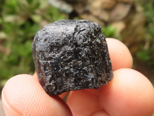 Natural Schorl Alluvial Black Tourmaline Crystals  x 70 From Zimbabwe - TopRock