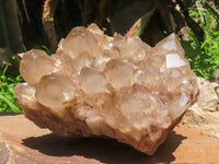 Natural Large White Phantom Smokey Quartz Cluster x 1 From Luena, Congo - TopRock