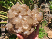 Natural Large White Phantom Smokey Quartz Cluster x 1 From Luena, Congo - TopRock