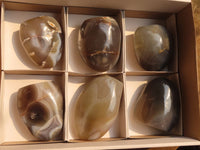 Polished Agate Standing Free Forms x 6 From Madagascar