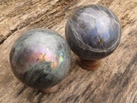 Polished Purple Flash Labradorite Spheres  x 2 From Tulear, Madagascar - TopRock