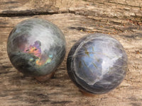 Polished Purple Flash Labradorite Spheres  x 2 From Tulear, Madagascar - TopRock