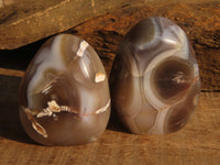 Polished Agate Standing Free Forms x 6 From Madagascar