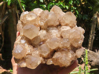 Natural Large White Phantom Smokey Quartz Cluster x 1 From Luena, Congo - TopRock