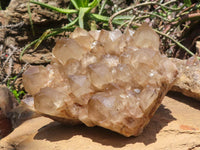 Natural Large White Phantom Smokey Quartz Cluster x 1 From Luena, Congo - TopRock