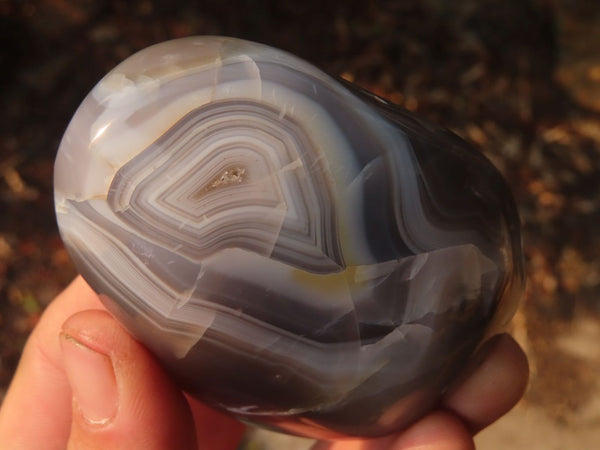 Polished Agate Standing Free Forms  x 6 From Madagascar