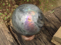 Polished Purple Flash Labradorite Spheres  x 2 From Tulear, Madagascar - TopRock