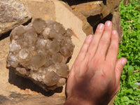 Natural Large White Phantom Smokey Quartz Cluster x 1 From Luena, Congo - TopRock