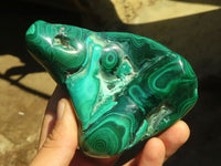 Polished Malachite Free Forms With Stunning Flower & Banding Patterns x 2 From Congo - Toprock Gemstones and Minerals 