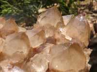 Natural Large White Phantom Smokey Quartz Cluster x 1 From Luena, Congo - TopRock