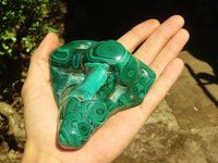 Polished Malachite Free Forms With Stunning Flower & Banding Patterns x 2 From Congo - Toprock Gemstones and Minerals 