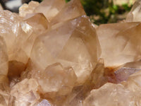 Natural Large White Phantom Smokey Quartz Cluster x 1 From Luena, Congo - TopRock