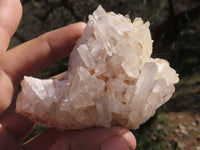 Natural Small Quartz Clusters With Nice Clear Crystals  x 24 From Mandrosonoro, Madagascar - TopRock