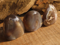 Polished Agate Standing Free Forms x 6 From Madagascar