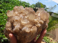 Natural Large White Phantom Smokey Quartz Cluster x 1 From Luena, Congo - TopRock