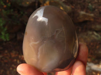 Polished Agate Standing Free Forms x 6 From Madagascar