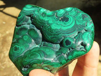 Polished Malachite Free Forms With Stunning Flower & Banding Patterns x 2 From Congo - Toprock Gemstones and Minerals 