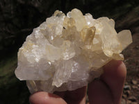 Natural Small Quartz Clusters With Nice Clear Crystals  x 24 From Mandrosonoro, Madagascar - TopRock