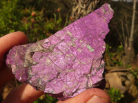 Natural Metallic Purpurite Cobbed Specimens  x 12 From Erongo, Namibia - Toprock Gemstones and Minerals 