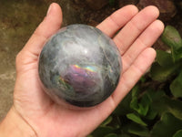 Polished Purple Flash Labradorite Spheres  x 2 From Tulear, Madagascar - TopRock