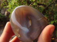 Polished Agate Standing Free Forms x 6 From Madagascar