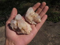 Natural Small Quartz Clusters With Nice Clear Crystals  x 24 From Mandrosonoro, Madagascar - TopRock