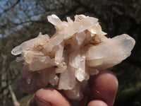 Natural Small Quartz Clusters With Nice Clear Crystals  x 24 From Mandrosonoro, Madagascar - TopRock