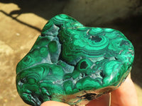 Polished Malachite Free Forms With Stunning Flower & Banding Patterns x 2 From Congo - Toprock Gemstones and Minerals 