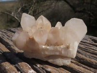 Natural Small Quartz Clusters With Nice Clear Crystals  x 24 From Mandrosonoro, Madagascar - TopRock