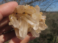 Natural Small Quartz Clusters With Nice Clear Crystals  x 24 From Mandrosonoro, Madagascar - TopRock