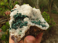 Natural Rare Ball Malachite On Drusi Quartz & Dolomite Matrix  x 2 From Kambove, Congo - Toprock Gemstones and Minerals 