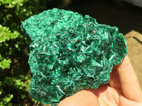 Natural Chatoyant Silky Malachite Specimens  x 2 From Congo - Toprock Gemstones and Minerals 