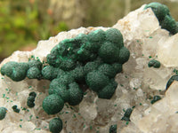 Natural Rare Ball Malachite On Drusi Quartz & Dolomite Matrix  x 2 From Kambove, Congo - Toprock Gemstones and Minerals 